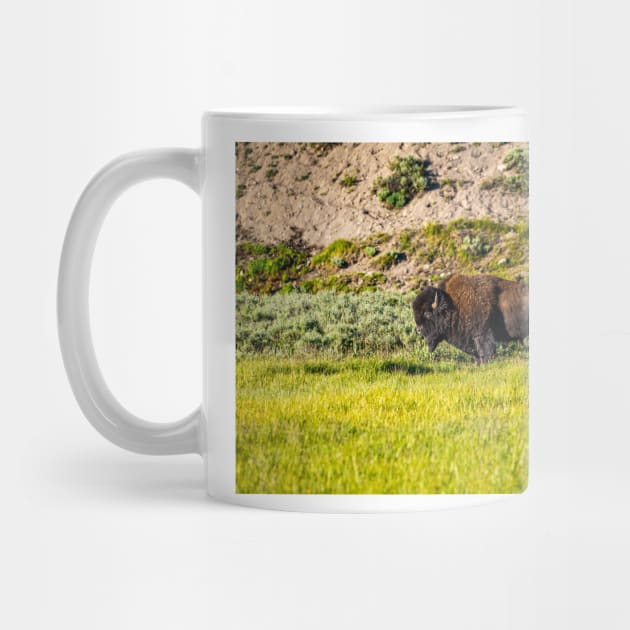 Bison at Yellowstone by Gestalt Imagery